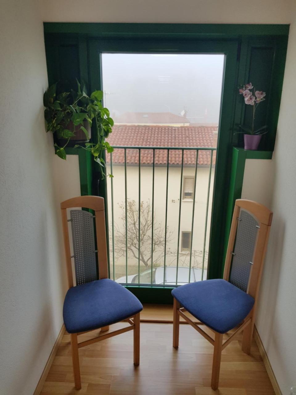 Múggia Hotel Oasi מראה חיצוני תמונה